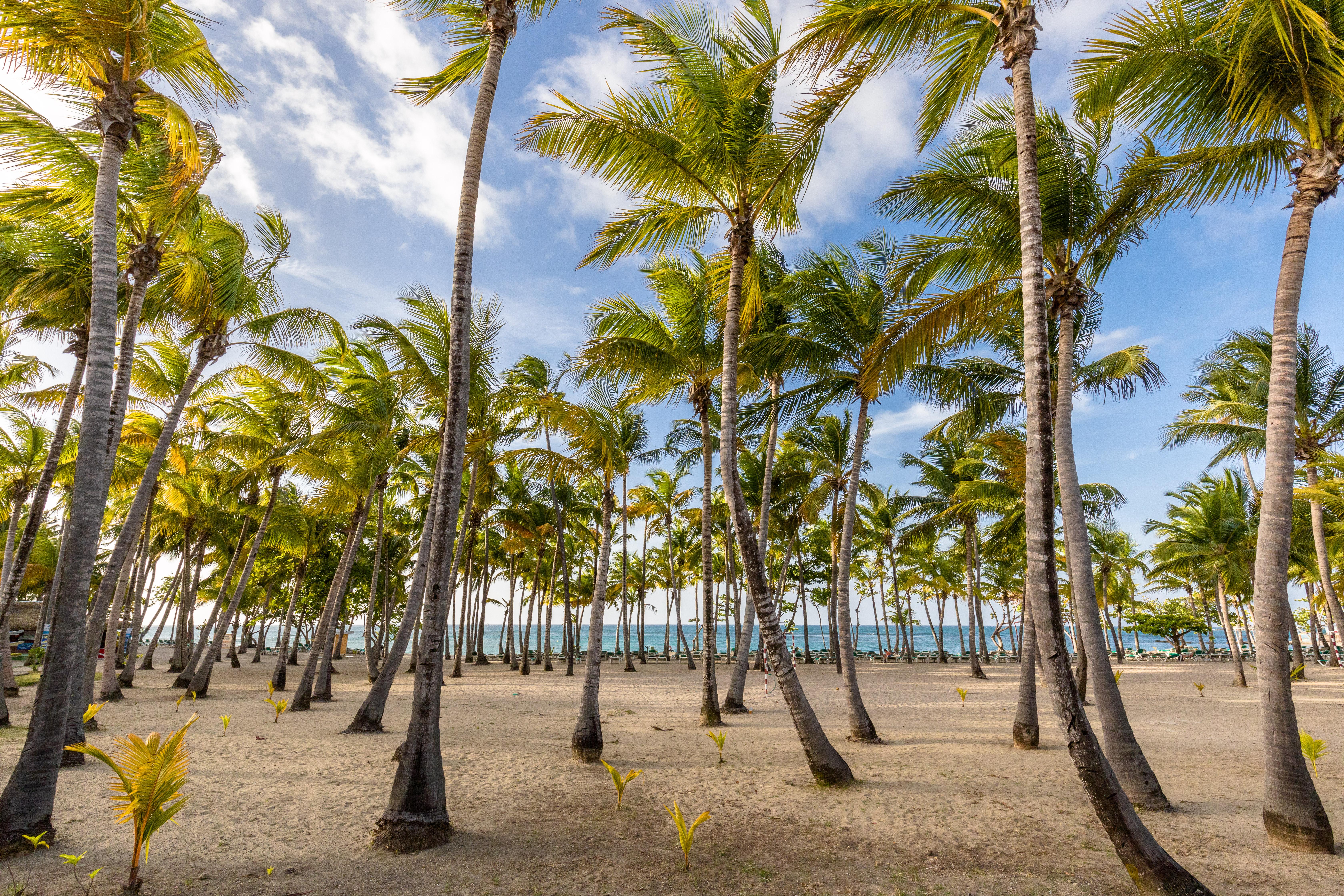 Playabachata Puerto Plata Dış mekan fotoğraf